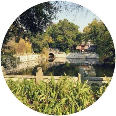 天象大陆果盘版下载