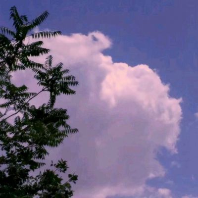 传世沙城手游破解版下载